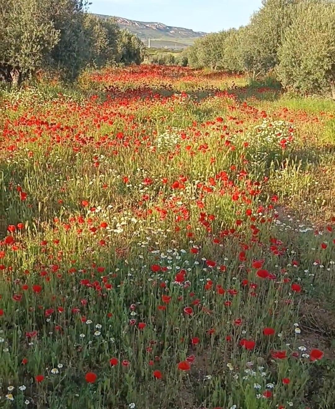 Hébergement de vacances Turistico Solaneras Solana del Pino