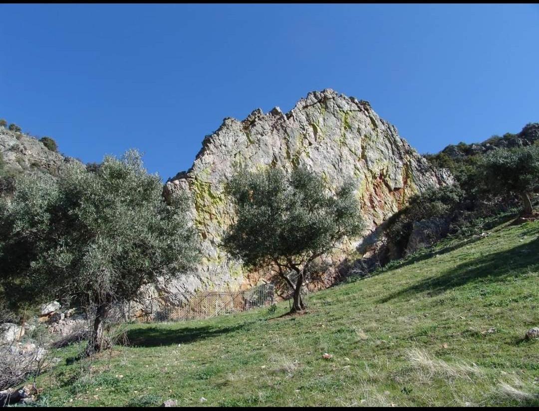 Turistico Solaneras Casa vacanze Solana del Pino
