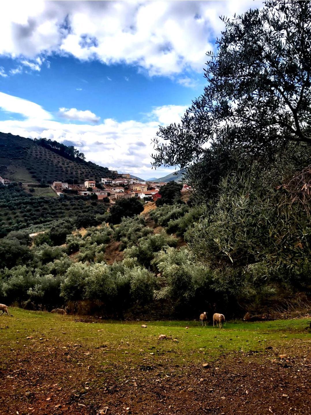 Turistico Solaneras Solana del Pino