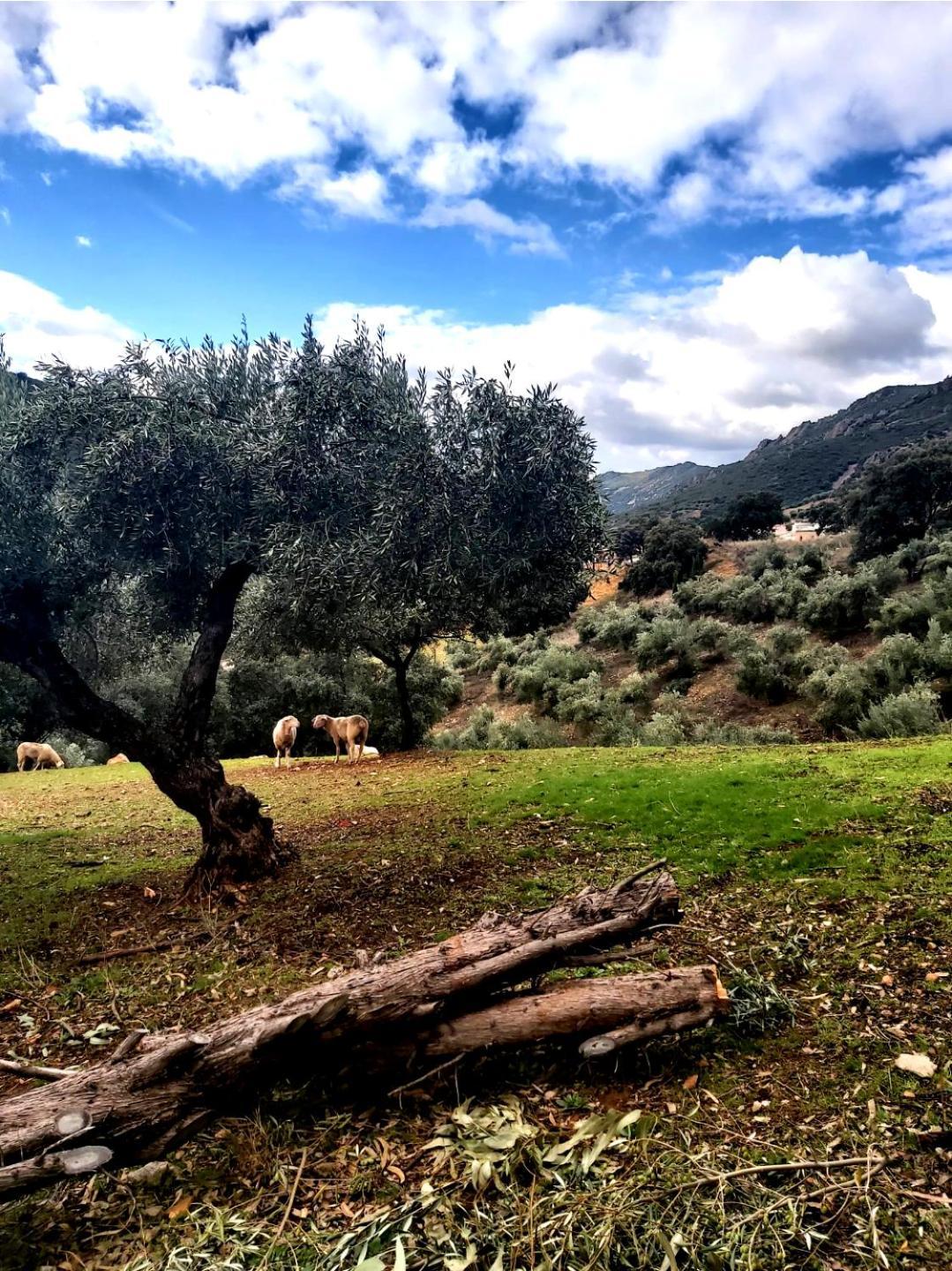 Turistico Solaneras Hébergement de vacances Solana del Pino